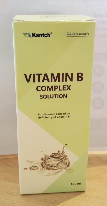Kantch Vitamin B Complex Solution - 100ml