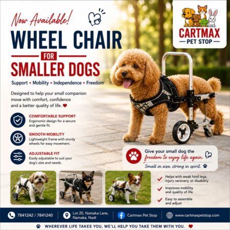 Wheel Chair - For Small Dogs