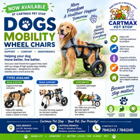 Mobility Wheelchairs - For Dogs