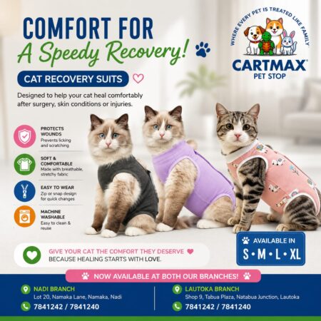 Recovery Suits - For Cats