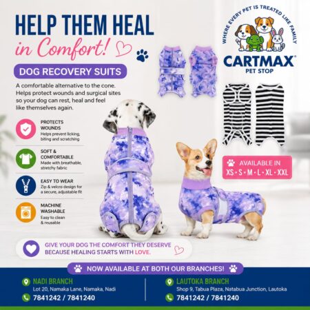 Recovery Suits - For Dogs