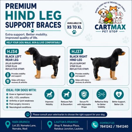 Premium Hind Leg Support Braces - For Dogs