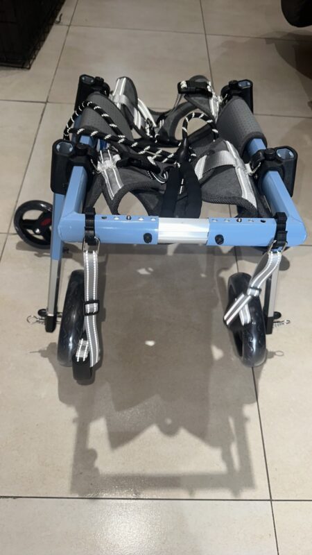 Full support dog wheelchair - Medium