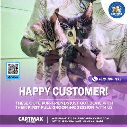 happycustomer-6